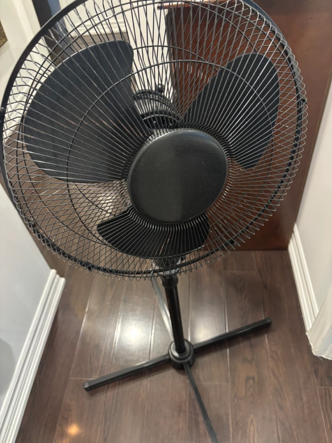 Black Fan - photo 2