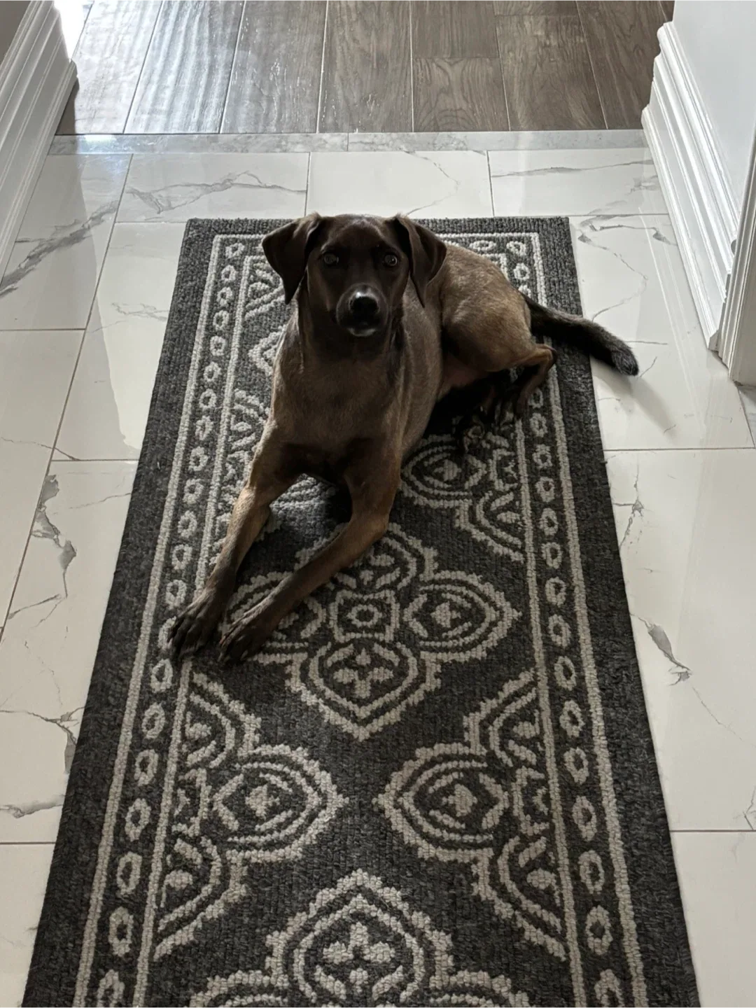 6’ x 2’ runner rug image indicator(2)