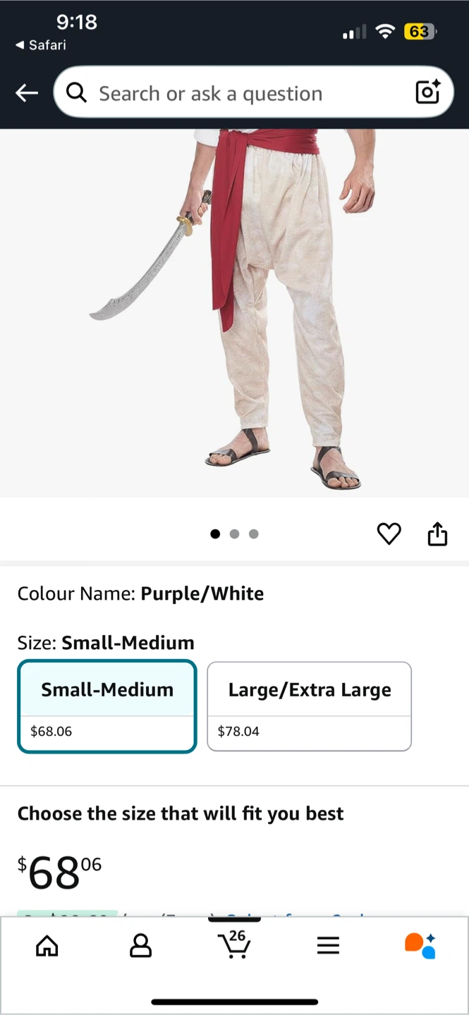 Aladdin Halloween Costume - photo 2