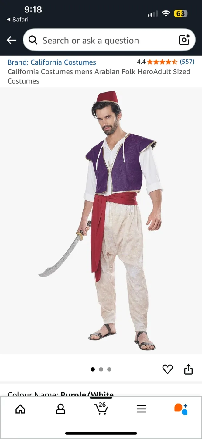 Aladdin Halloween Costume