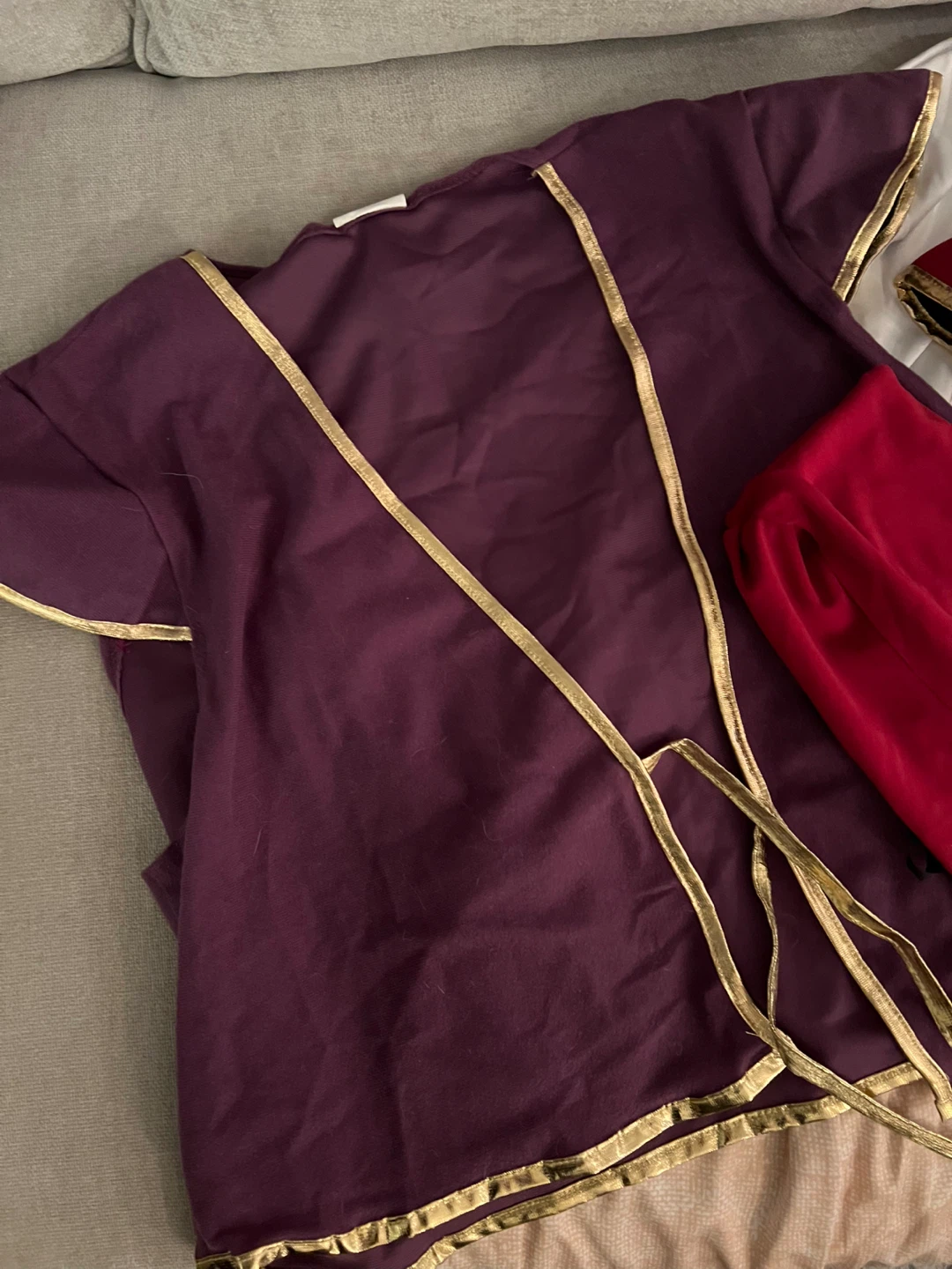 Aladdin Halloween Costume - photo 4