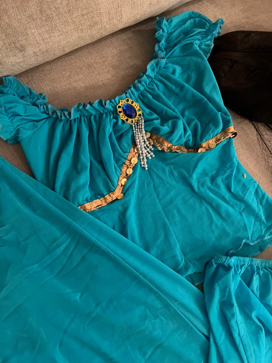 Jasmine Halloween Costume - photo 2
