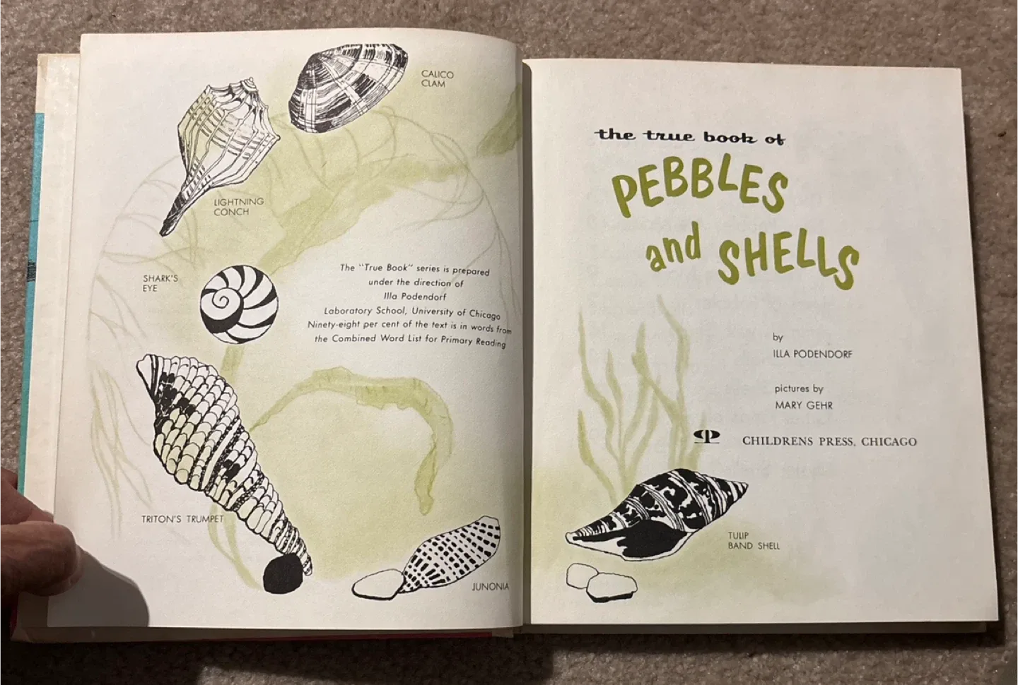 I Want to Know About... Book Set (16 volumes) image indicator(7)