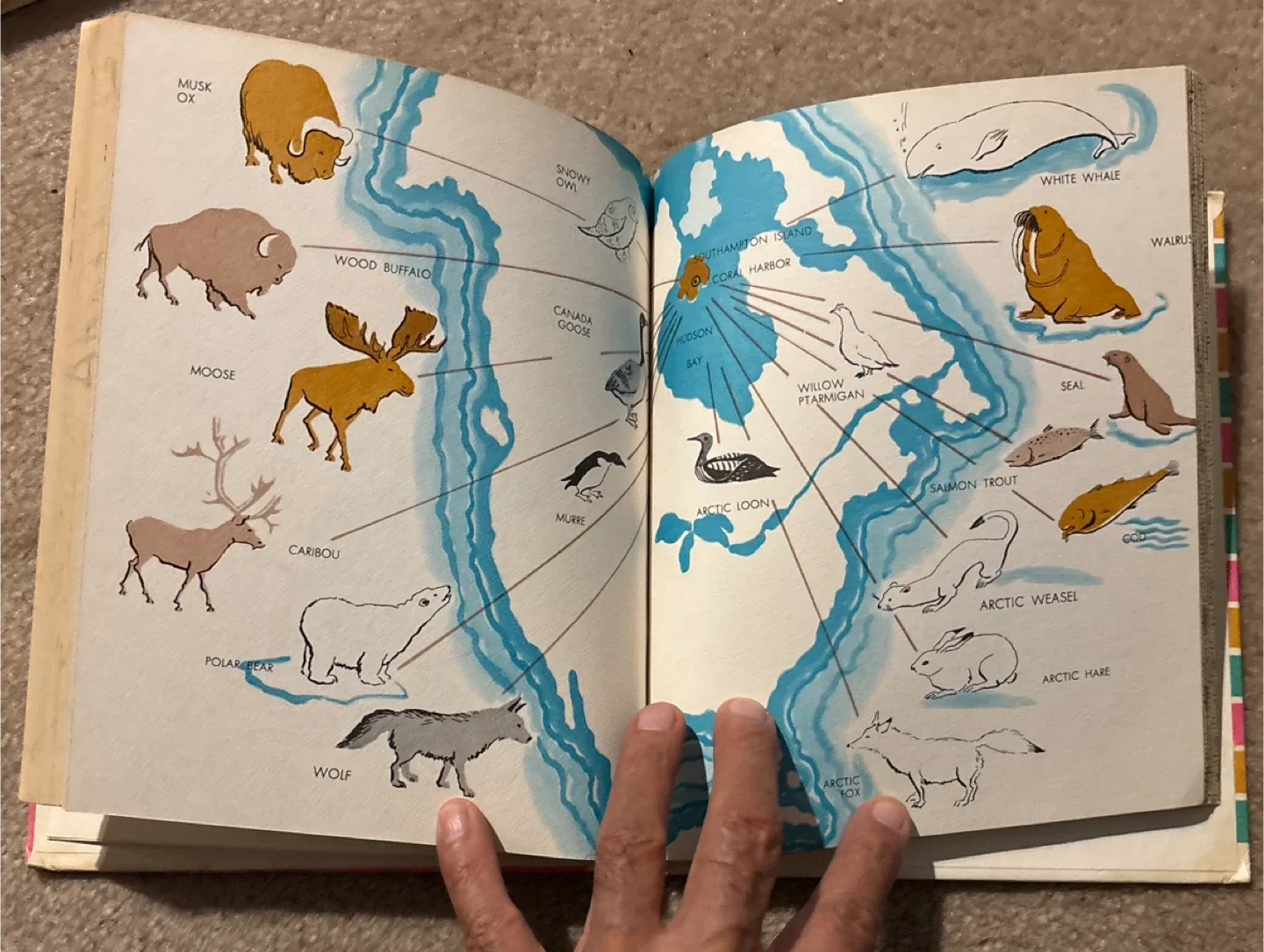 I Want to Know About... Book Set (16 volumes) image indicator(8)