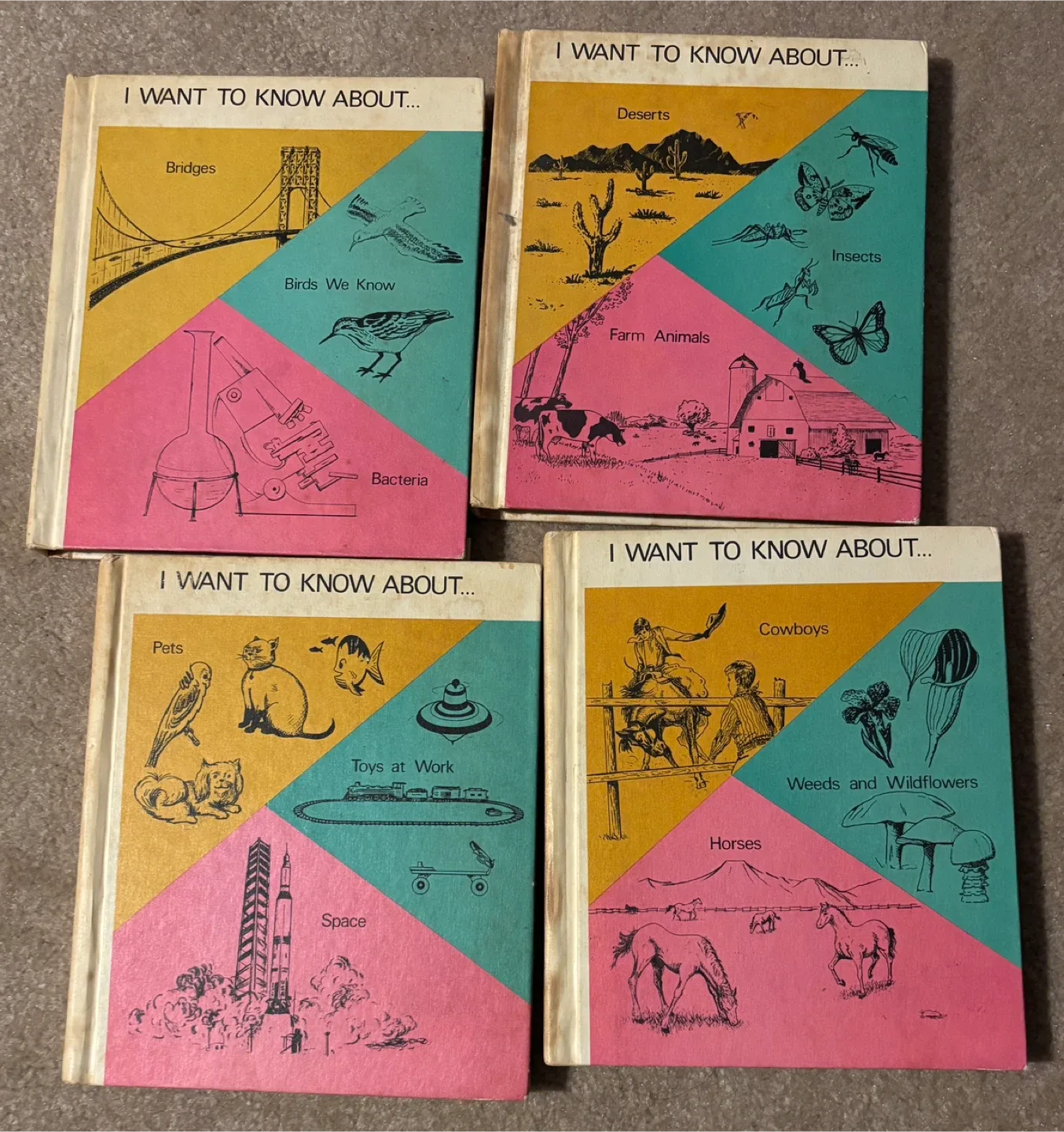 I Want to Know About... Book Set (16 volumes) image indicator(4)