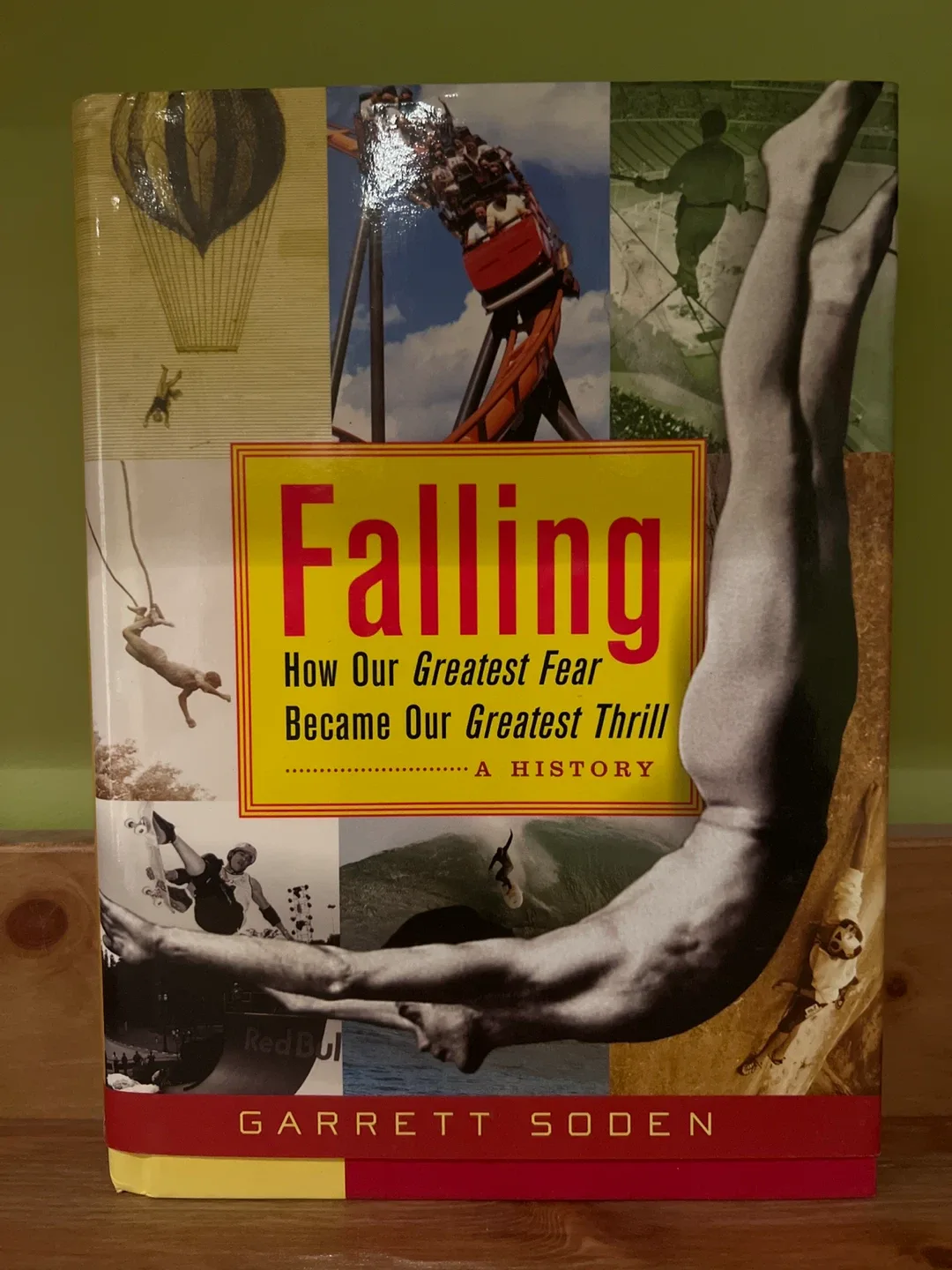 "Falling: How Our Greatest Fear Became Our Greatest Thrill" Book thumbnail
