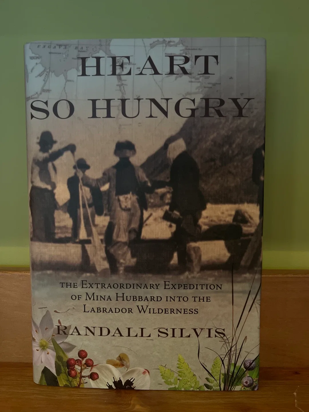Heart So Hungry by Randall Silvis thumbnail