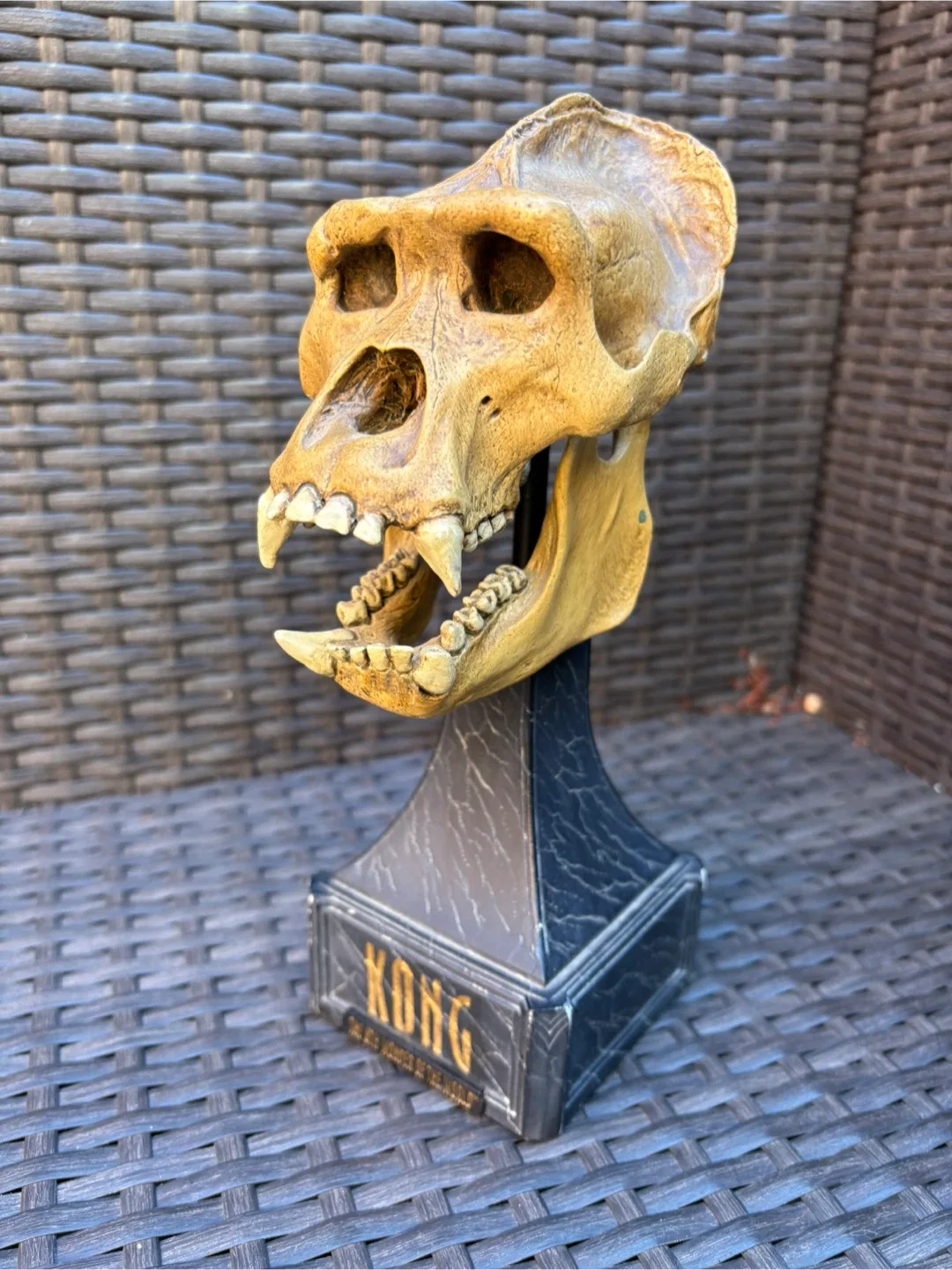 Kong Skull - The 8th Wonder thumbnail