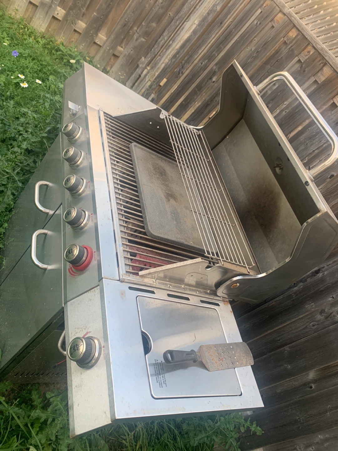 Backyard Grill BBQ - photo 4