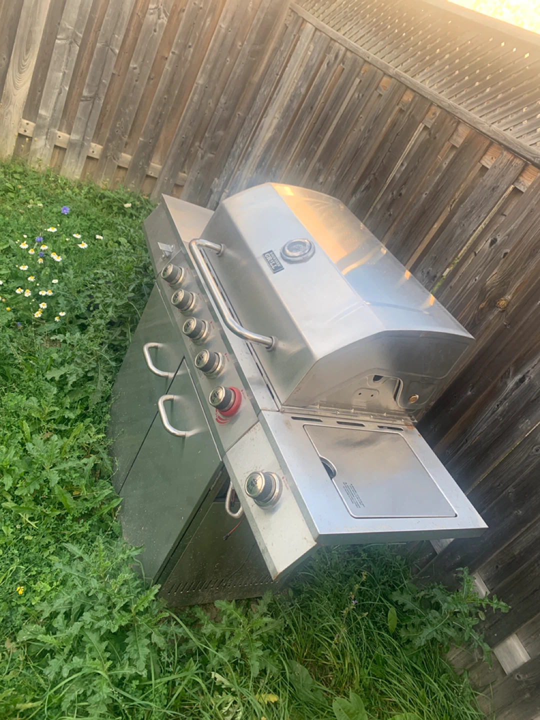 Backyard Grill BBQ - photo 3