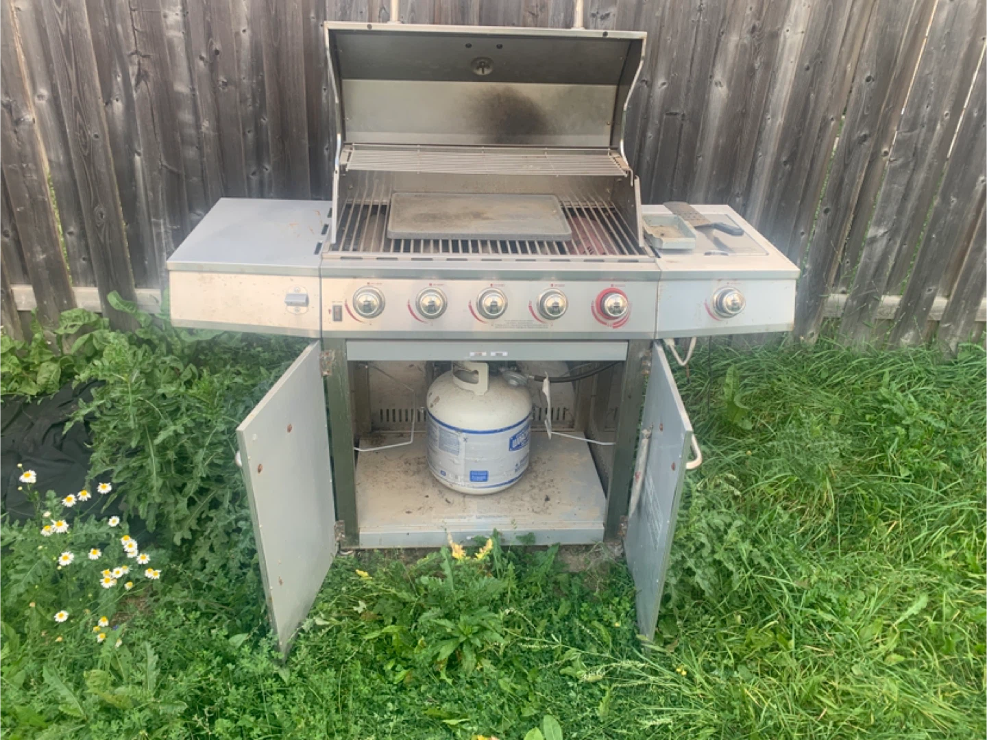 Backyard Grill BBQ - photo 5