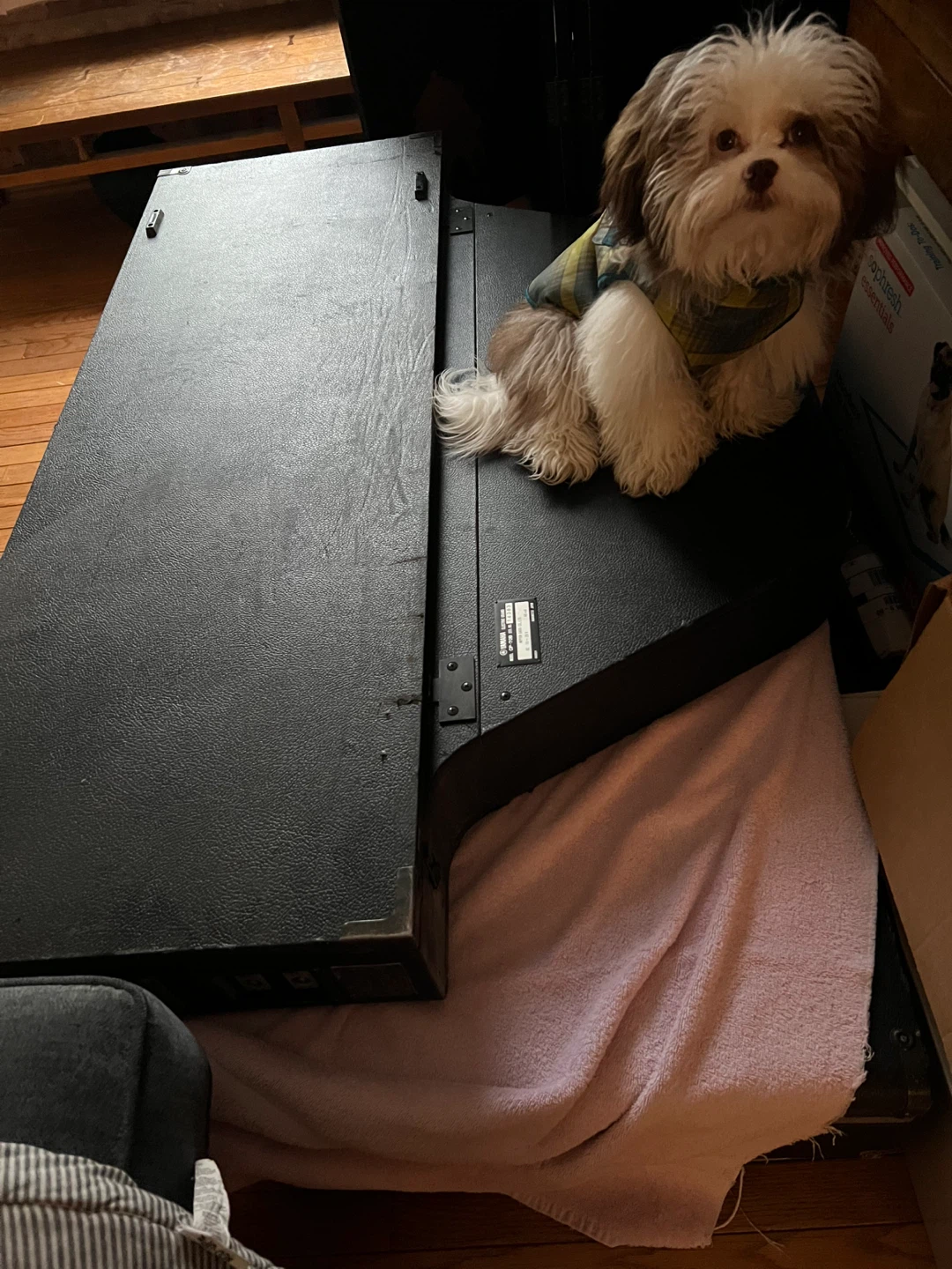 Electric baby grand piano - photo 2