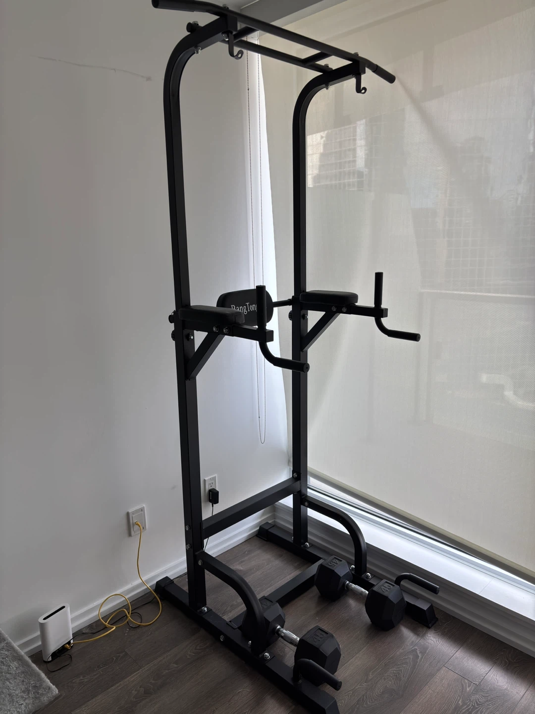 Pull Up Bar and 45lb weight