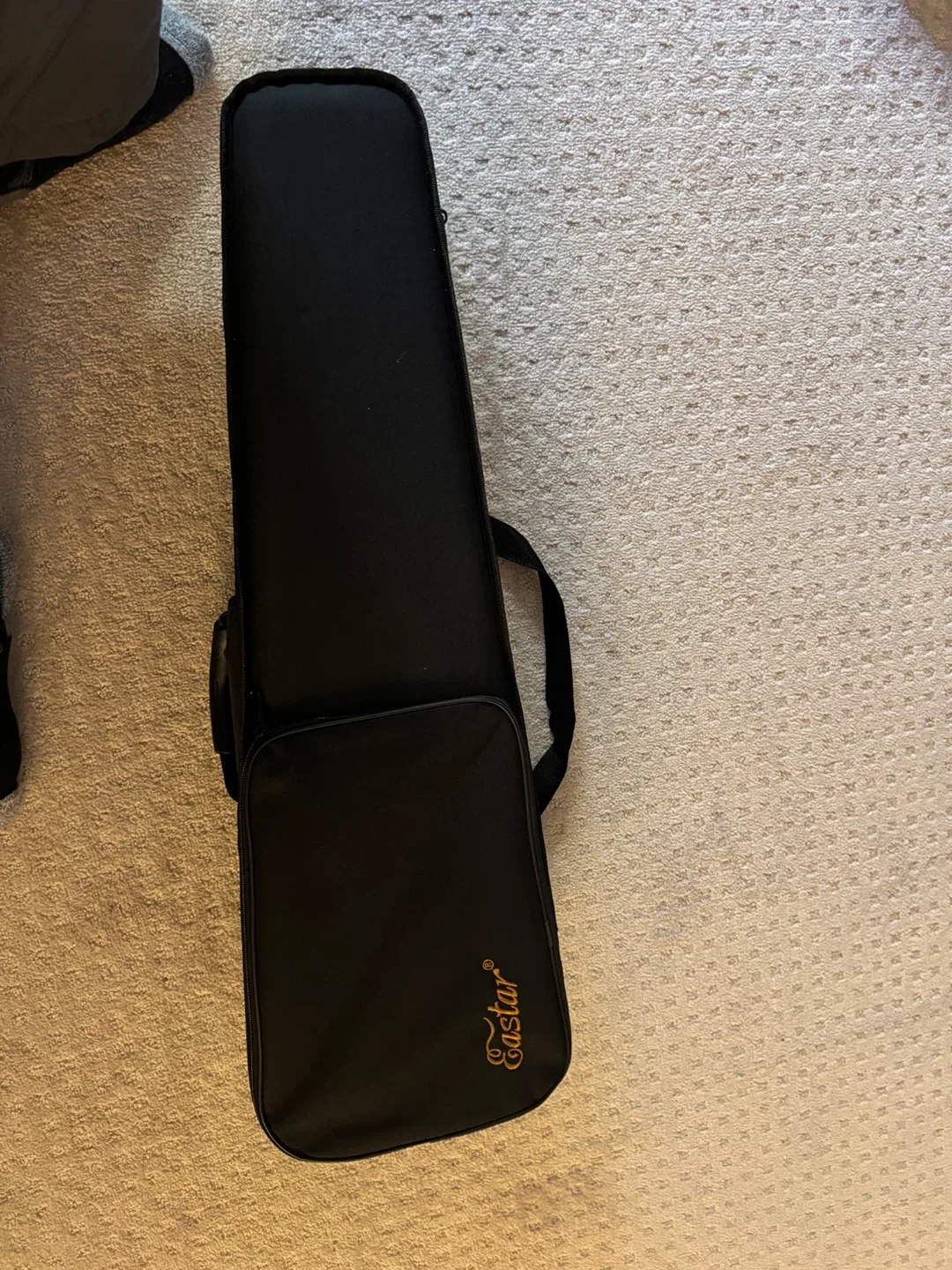 4/4 Violin Case - Black image indicator(3)