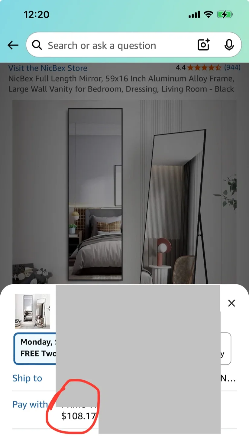 Full Length Mirror 59x16 Black (orig. $108) thumbnail