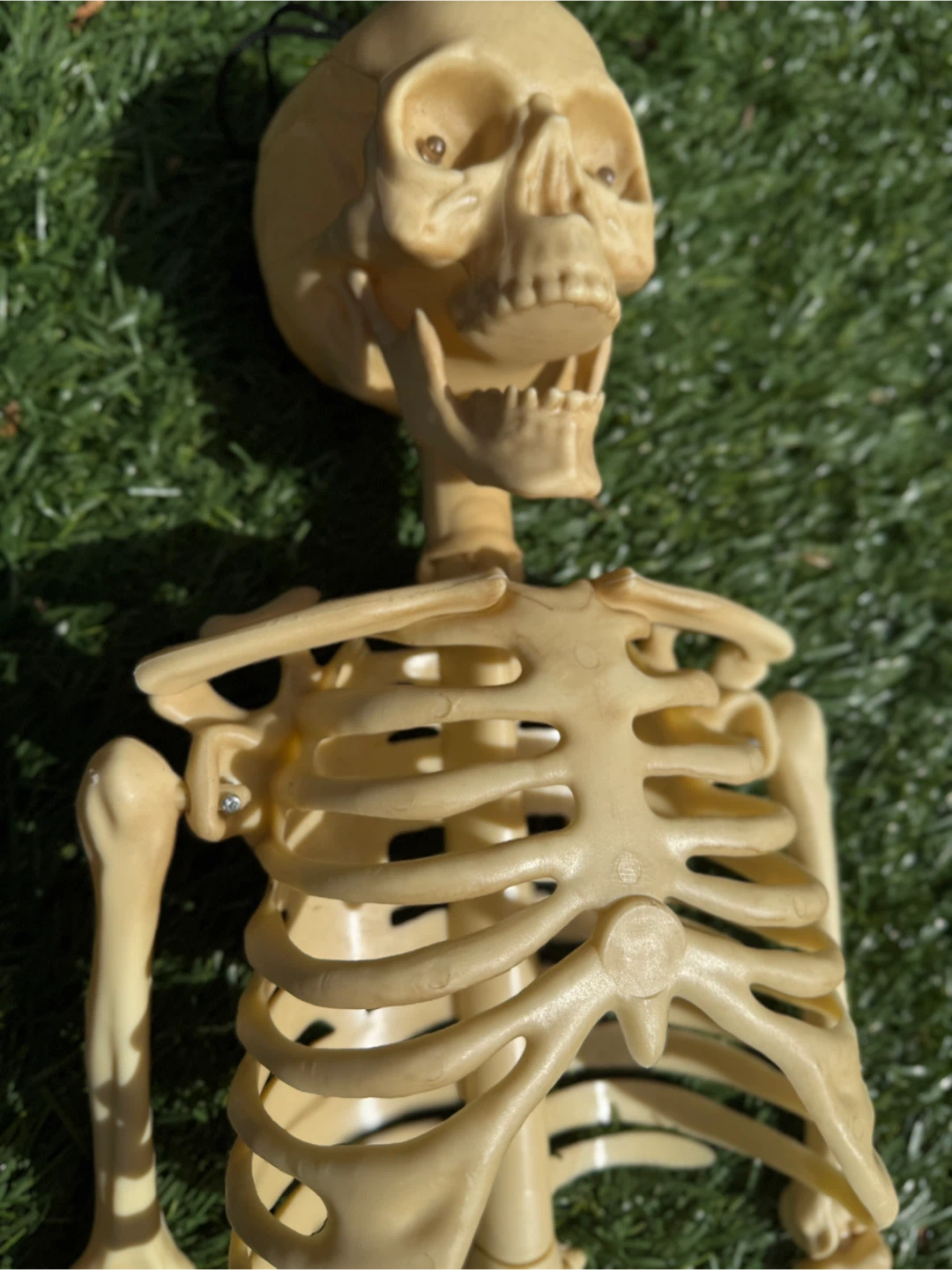 Halloween Skeleton Decorations - photo 3