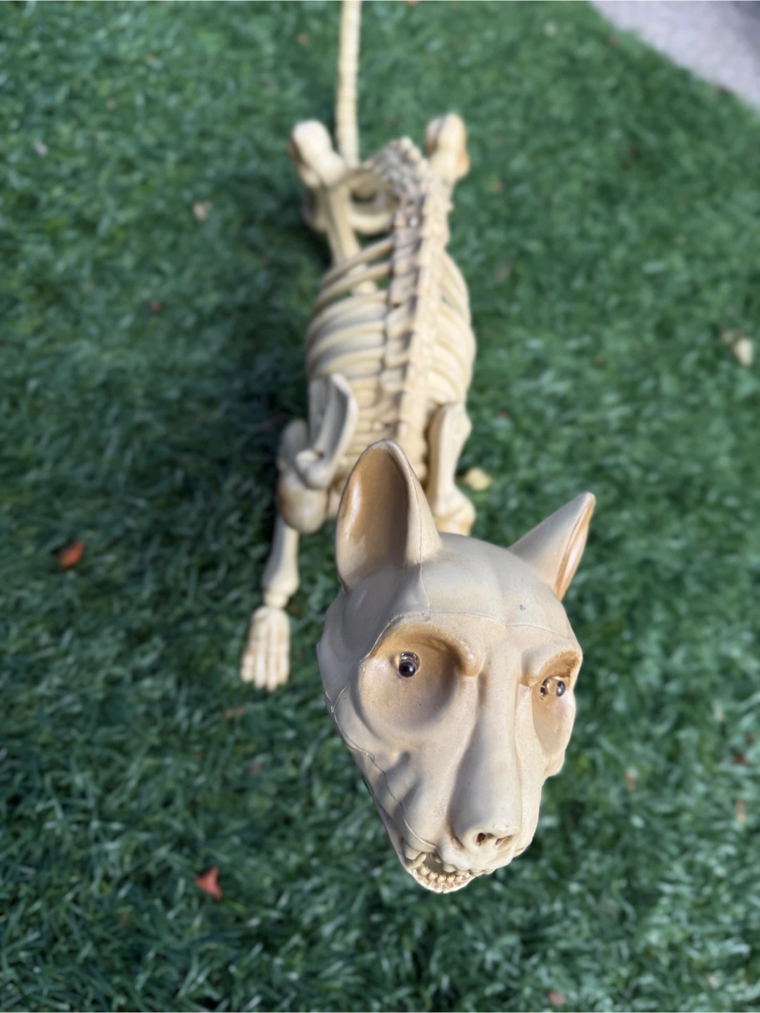 Halloween Skeleton Decorations - photo 5