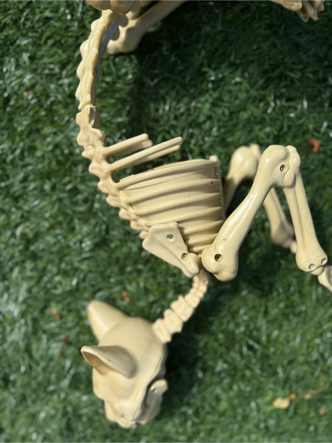 Halloween Skeleton Decorations - photo 4