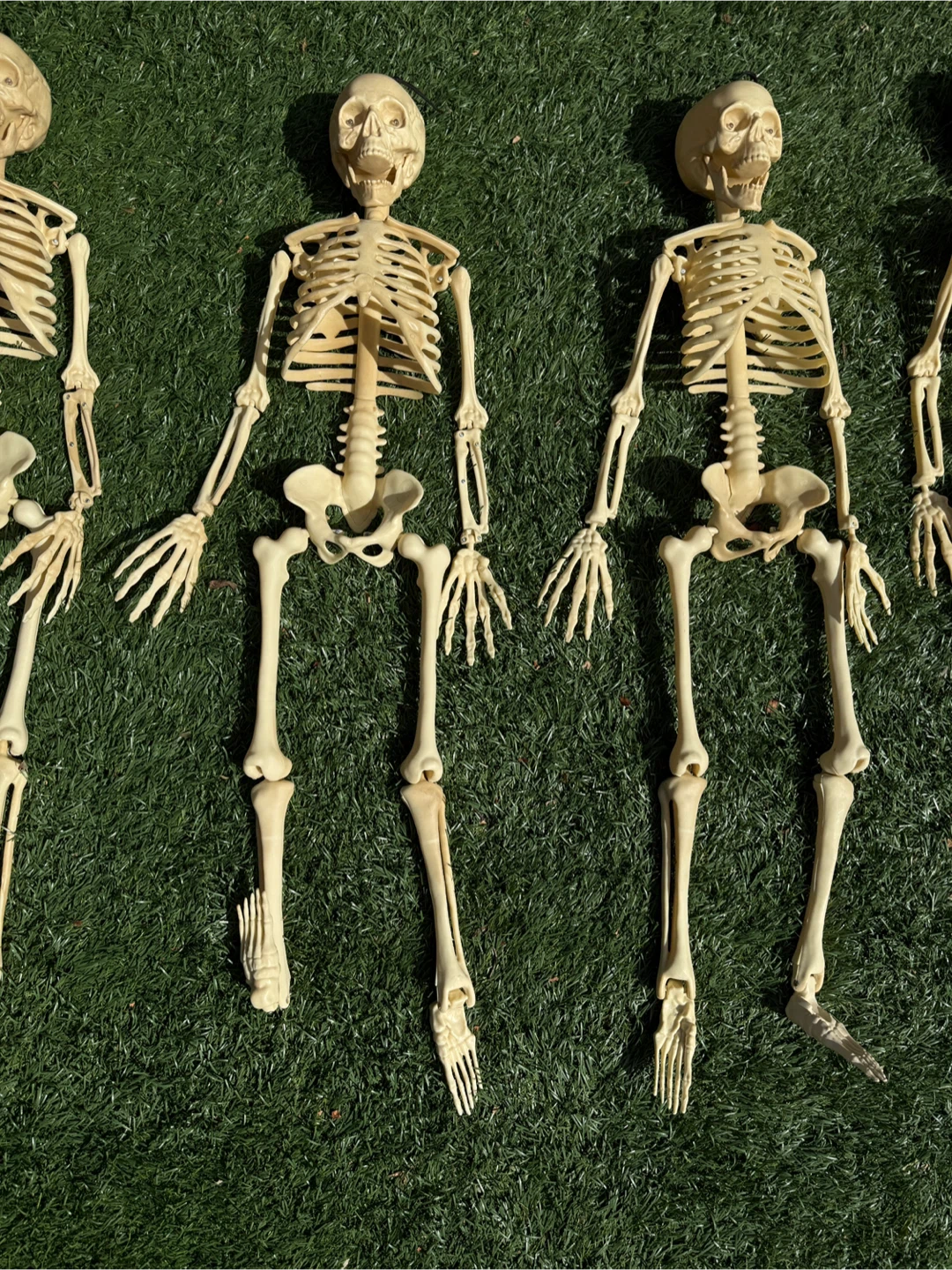 Halloween Skeleton Decorations - photo 2