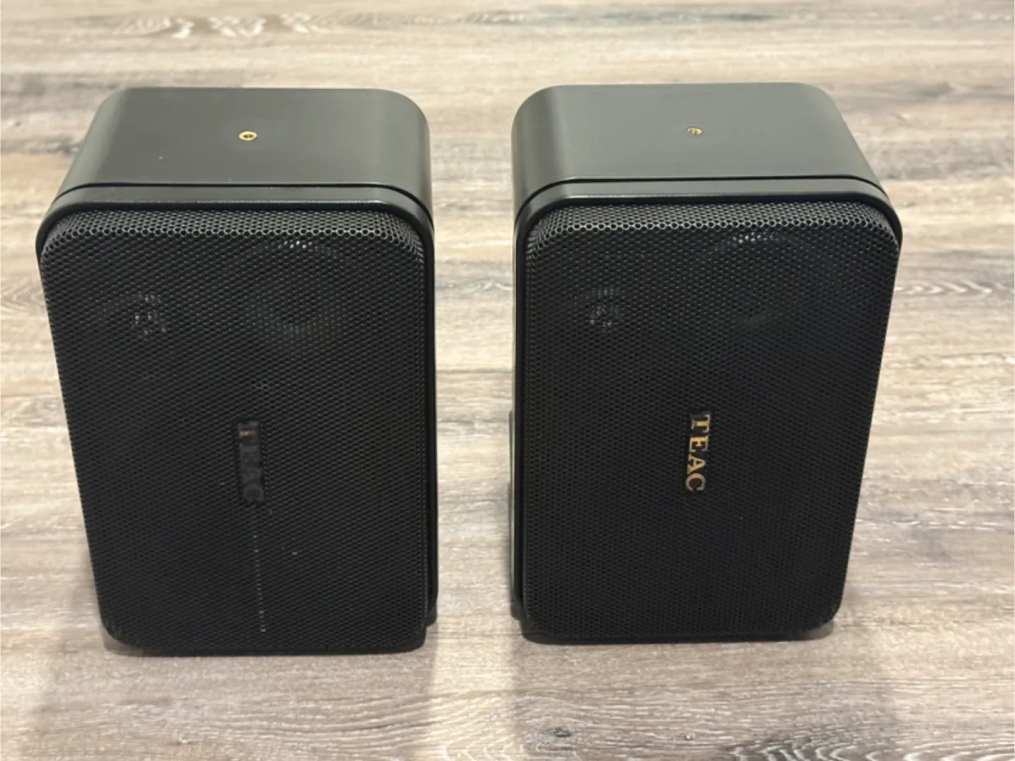 TEAC LS-X700 Indoor/Outdoor Speaker System - Pair thumbnail