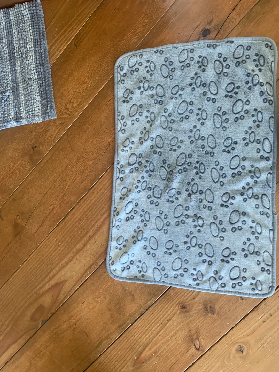 Cat bed image indicator(2)