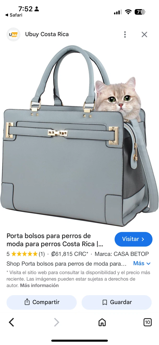 I HAYNER Pet Carrier Bag, Light Blue - photo 3
