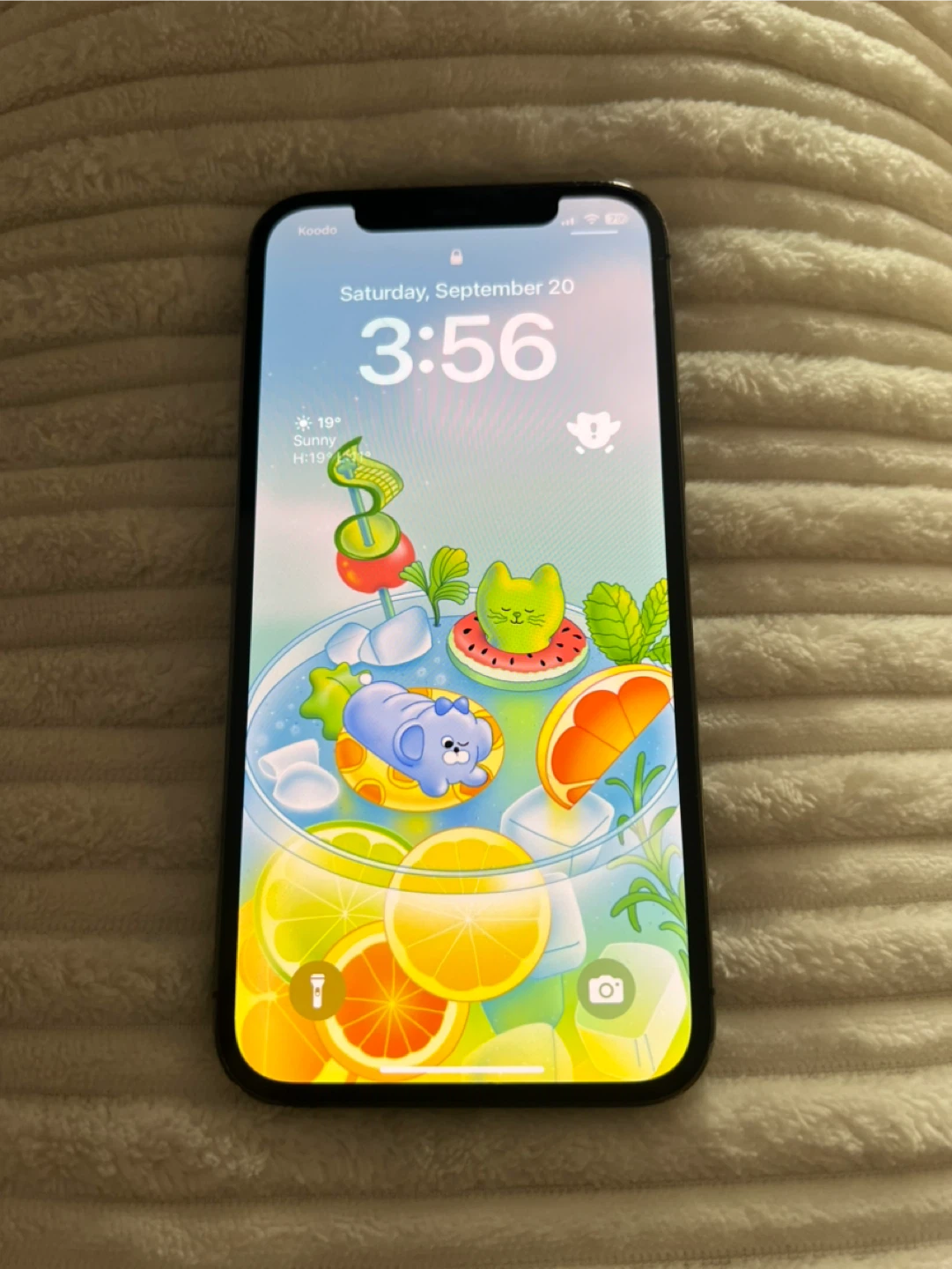 CHEAP iPhone 12 Pro