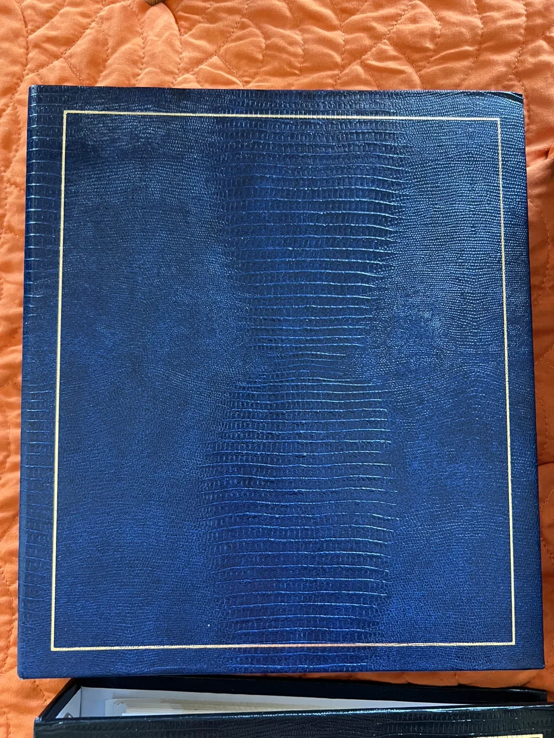 Photo Albums 100 Pages image indicator(2)