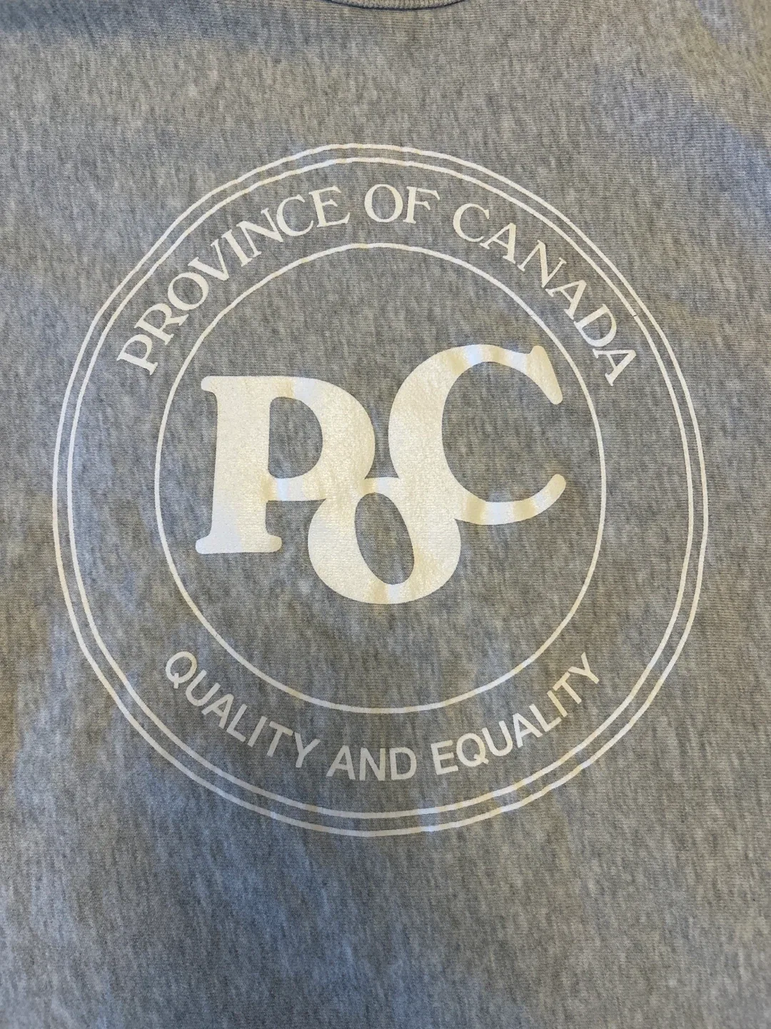 Province of Canada Grey Sweatshirt - Size XL image indicator(3)