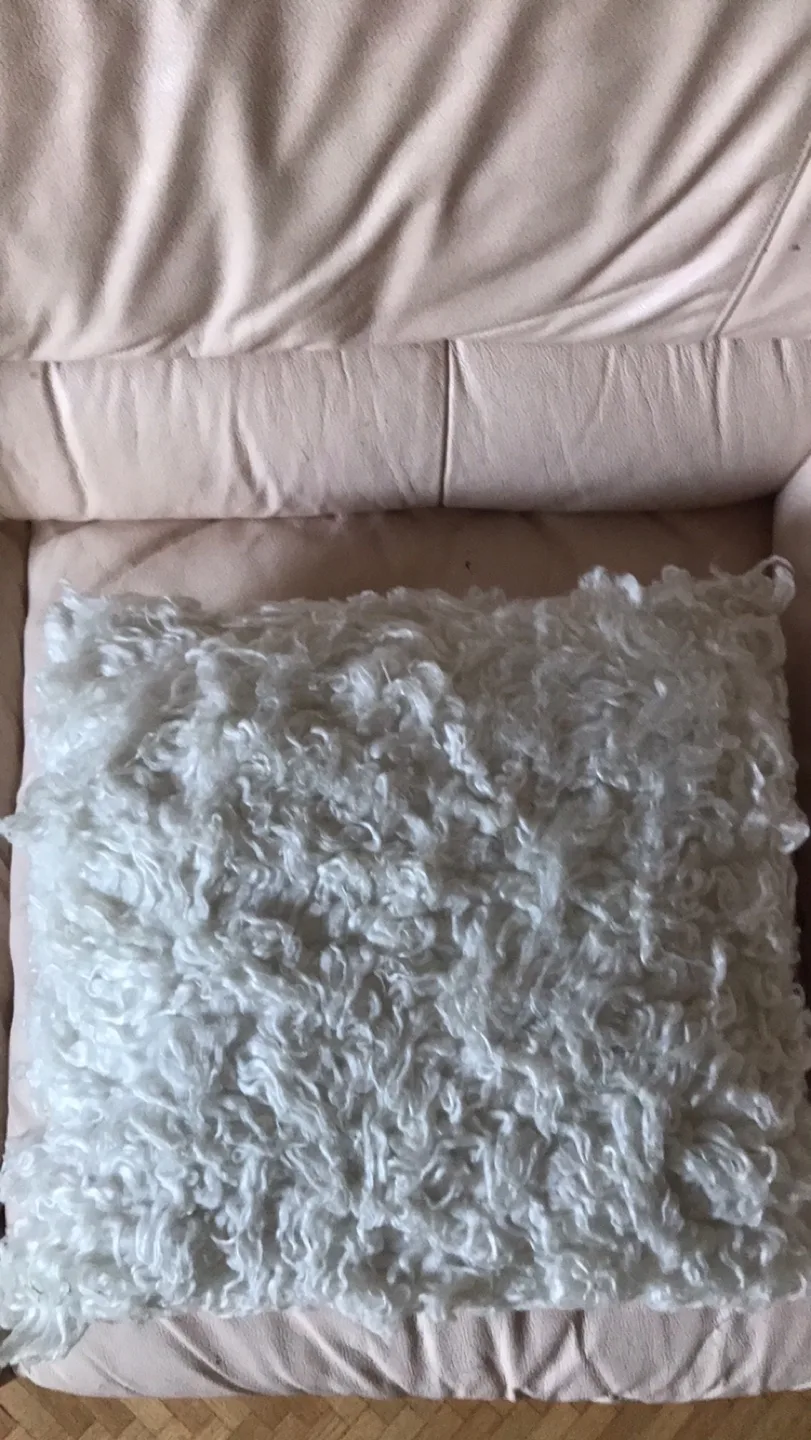 White Decorative Pillow thumbnail