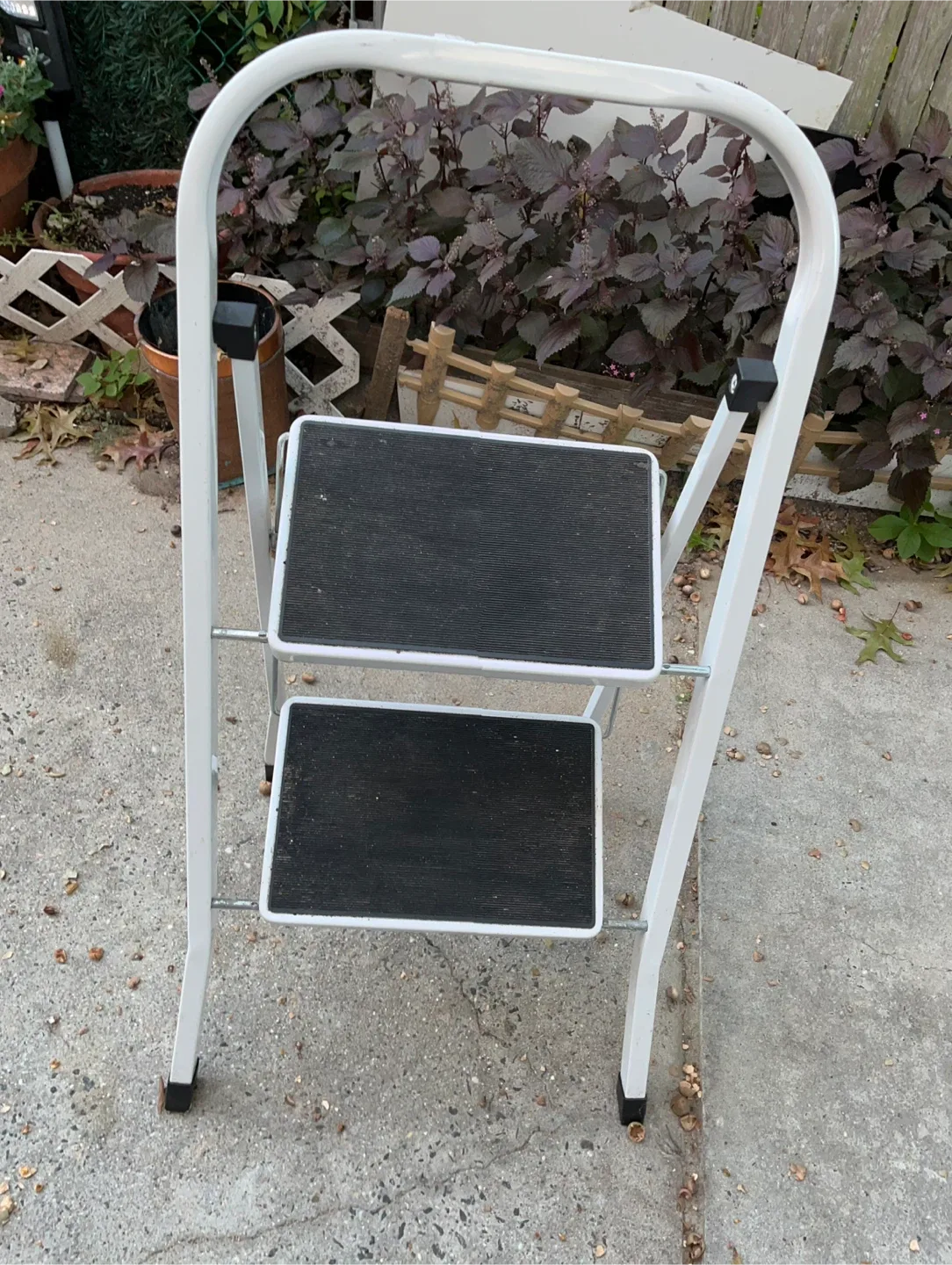 2-Step Lightweight Ladder thumbnail