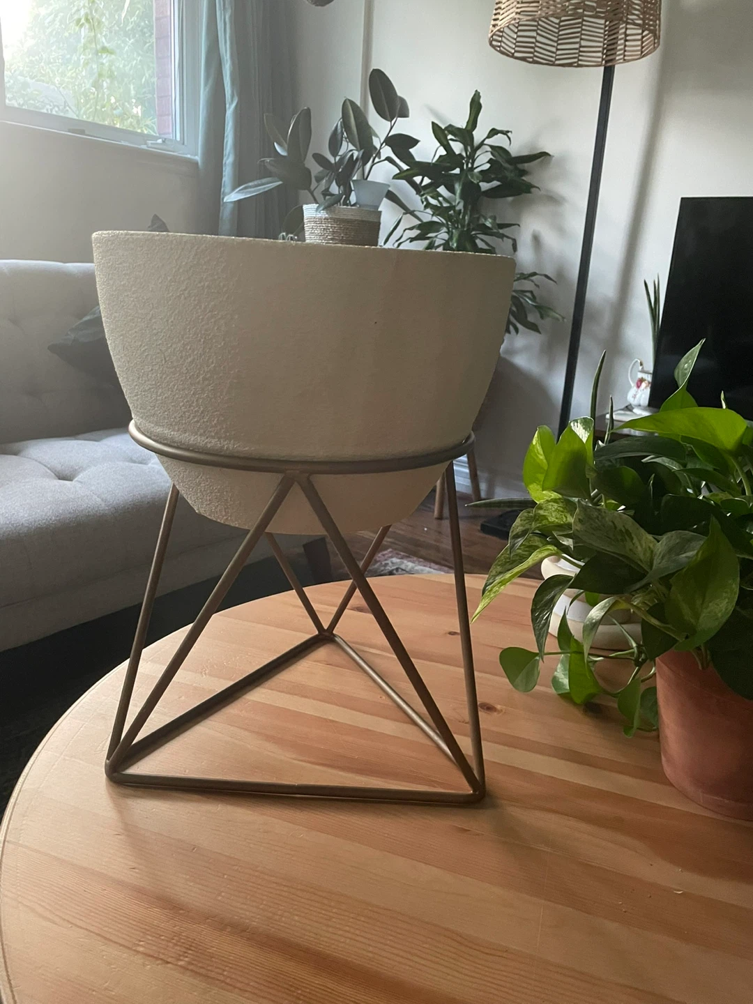 Large Plant Pot with Stand from Structube