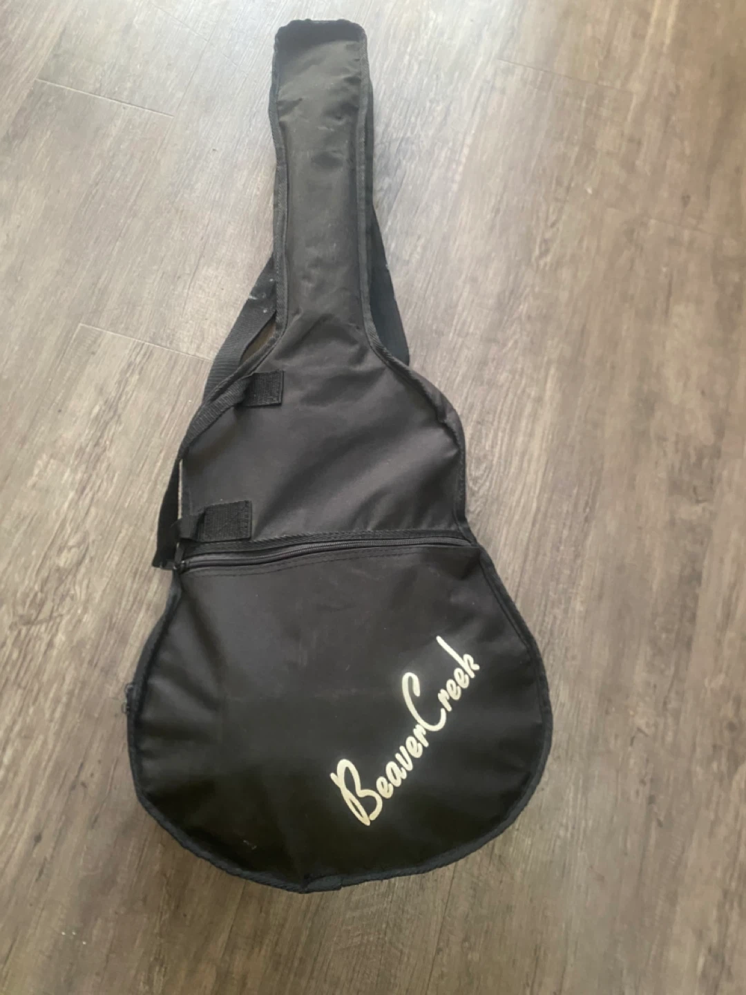 Beaver Creek Acoustic Guitar with Case and (FREE Guitar Strap) - photo 2
