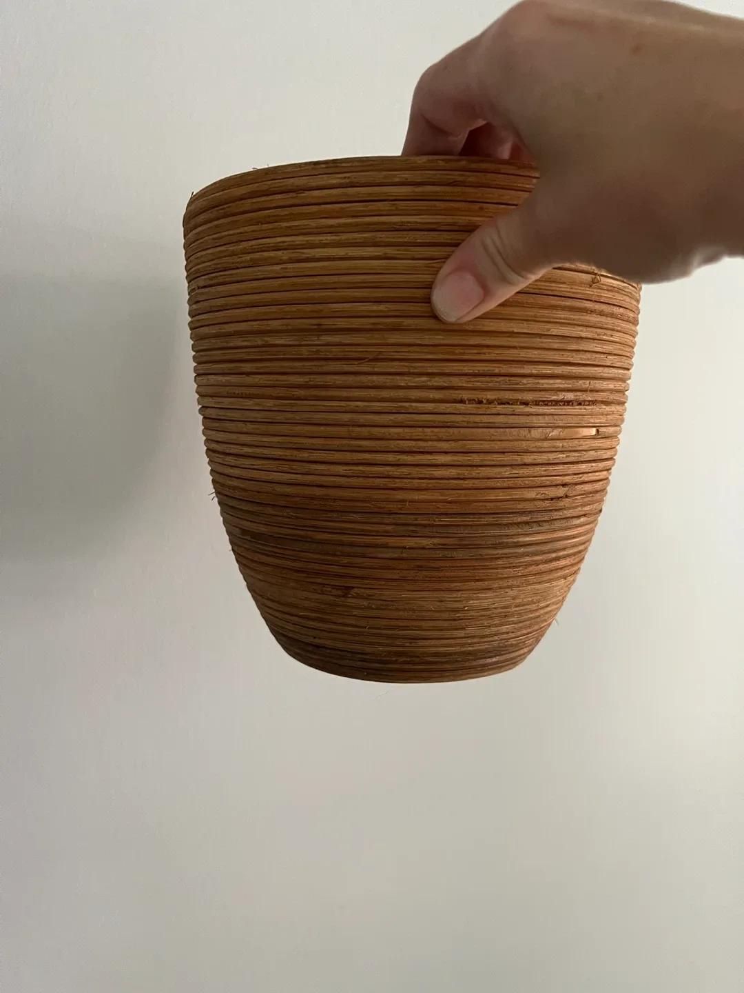 Rattan Plant Pot thumbnail