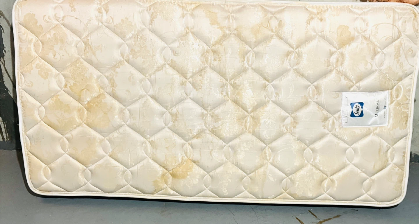 Sealy Melrose Mattress
