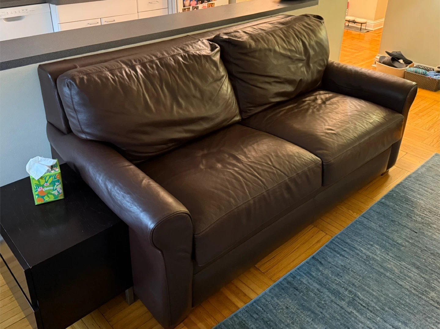 American Leather sleeper sofa