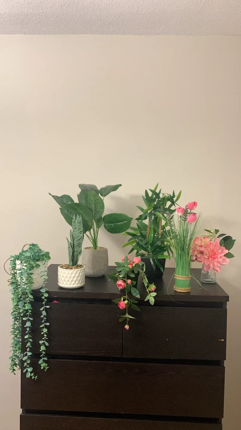 Assorted Artificial Plants thumbnail