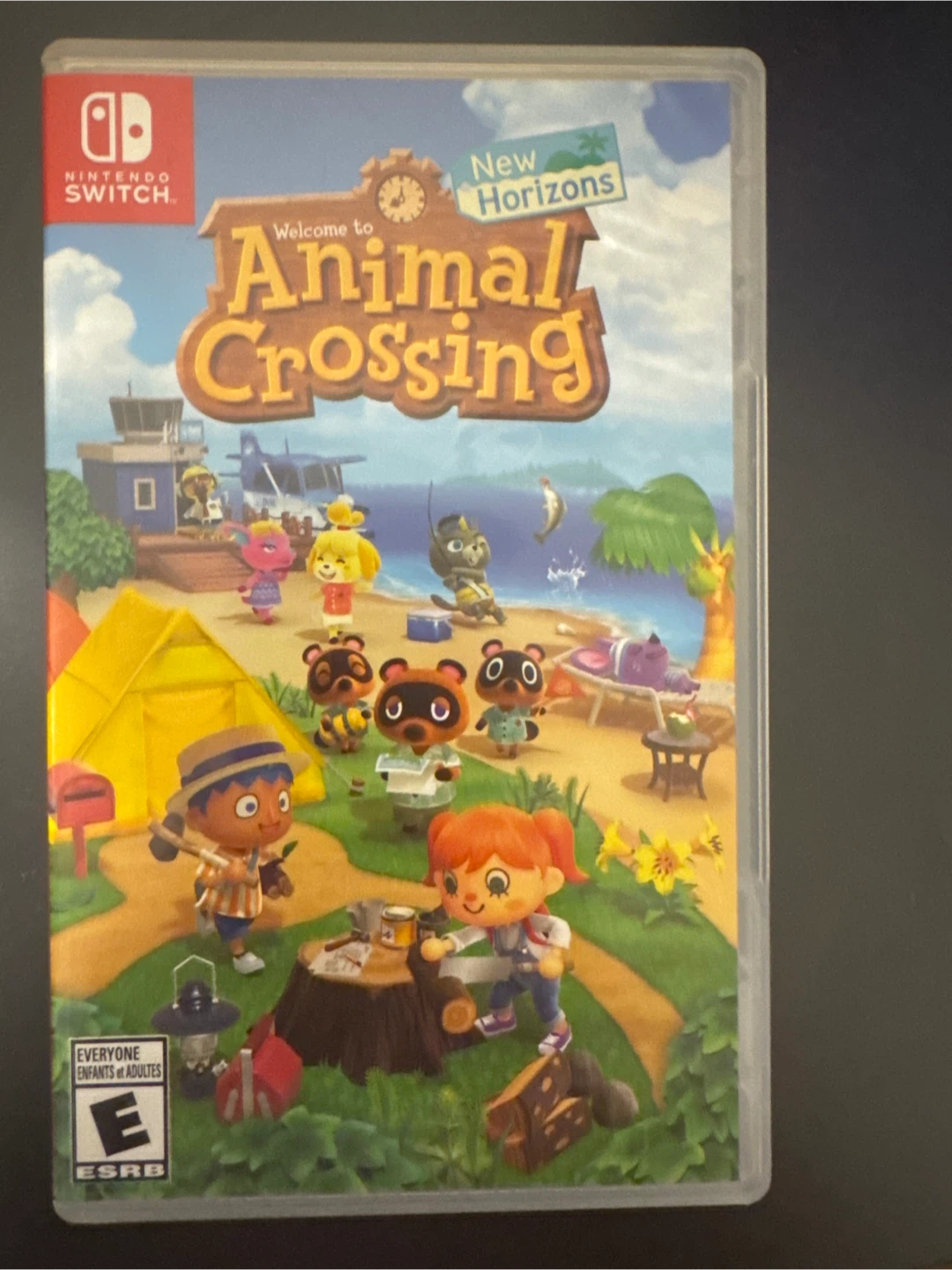 Animal Crossing: New Horizons - Nintendo Switch Game