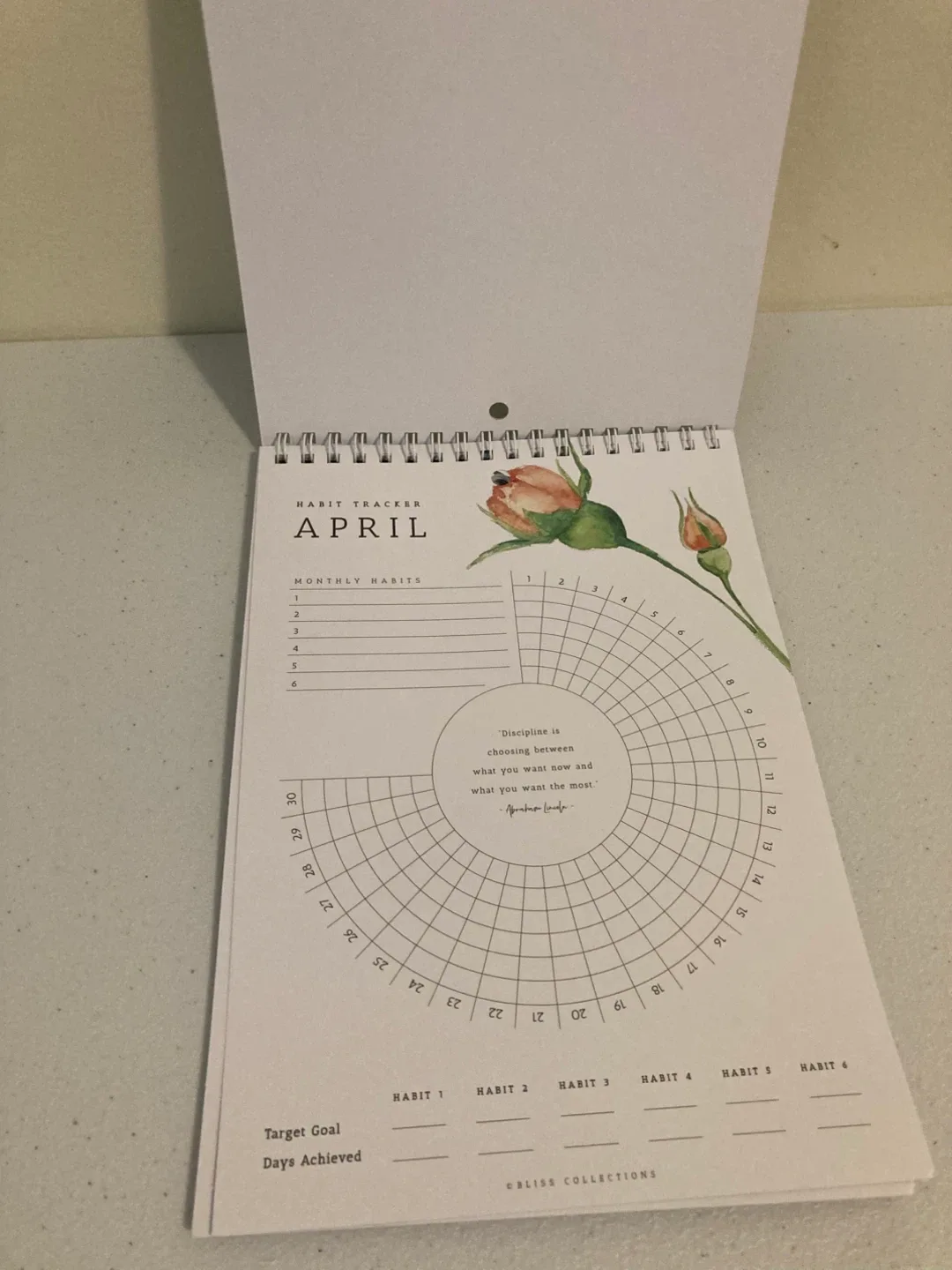 Bliss Collections 12-Month Habit Tracker Calendar image indicator(4)