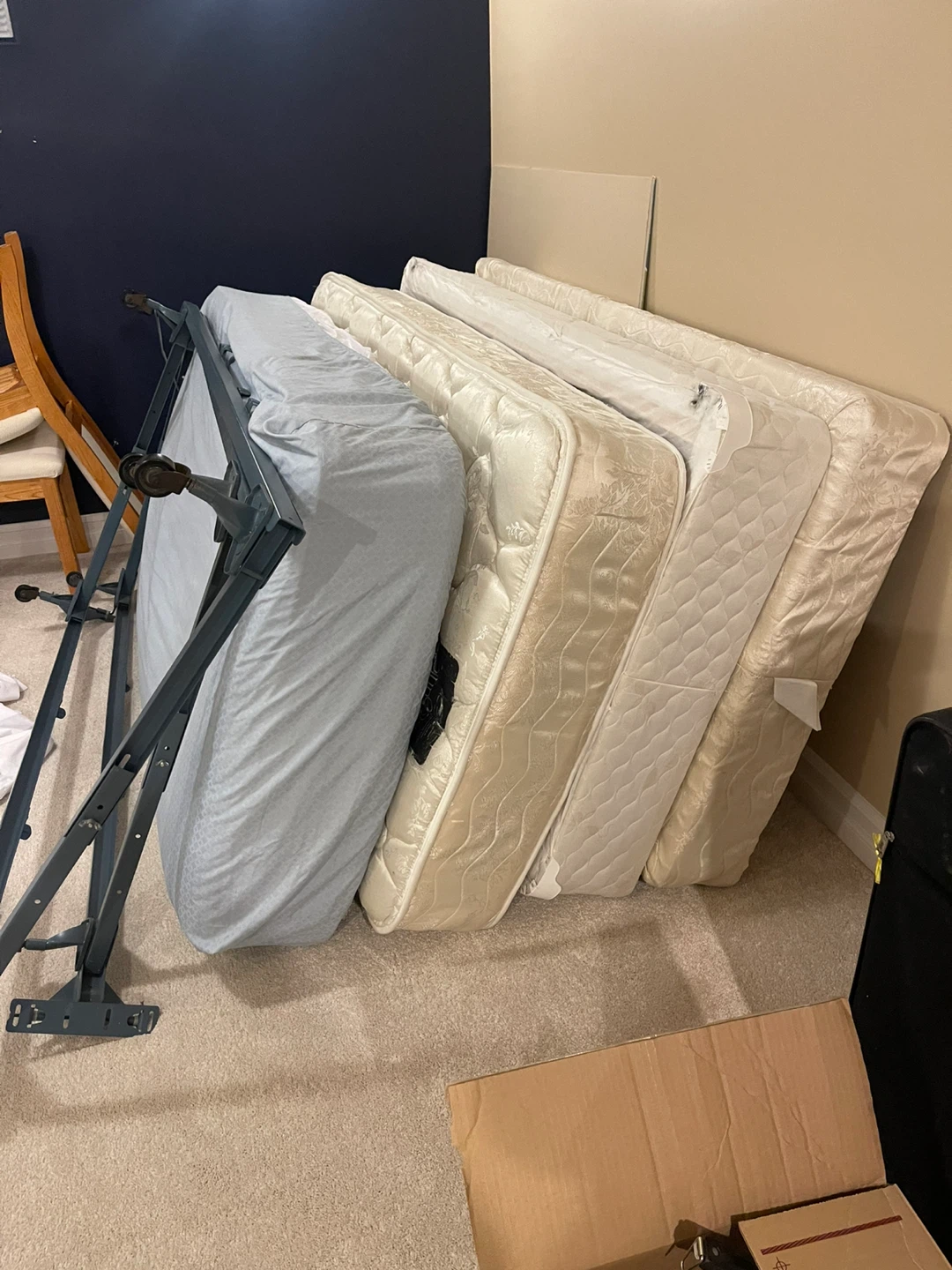 Twin Mattress and Bed Frame