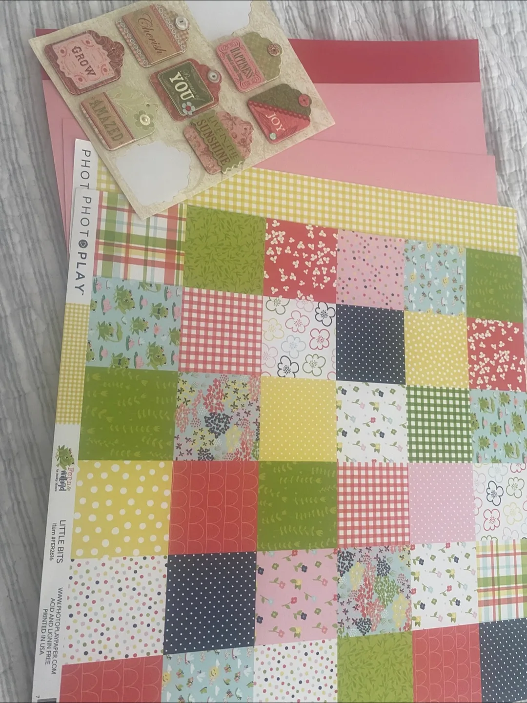 Scrapbook Paper Lot - Assorted Designs image indicator(4)