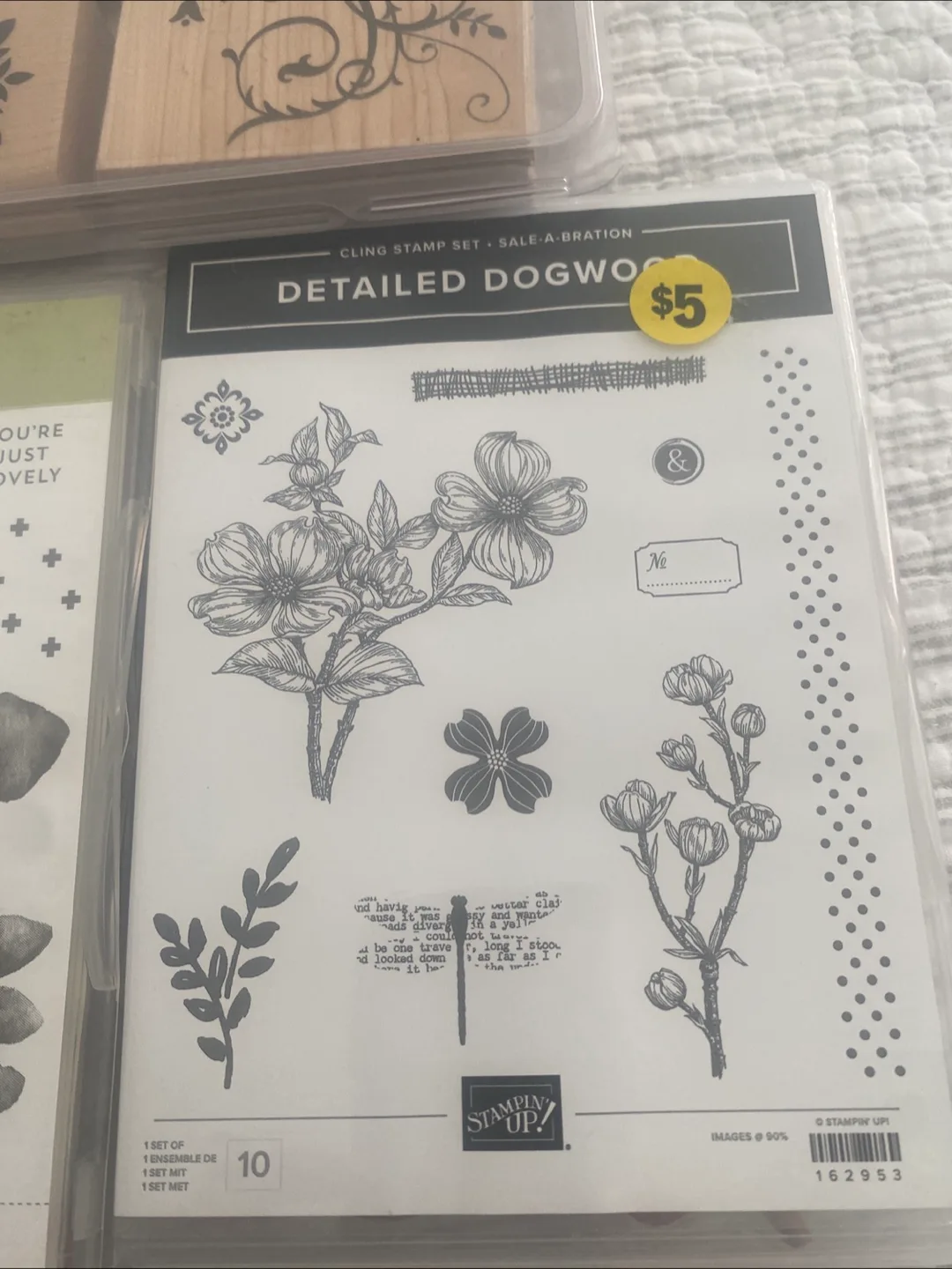 Stampin' Up! Stamp Sets - Elements, Eclectic, Dogwood image indicator(3)