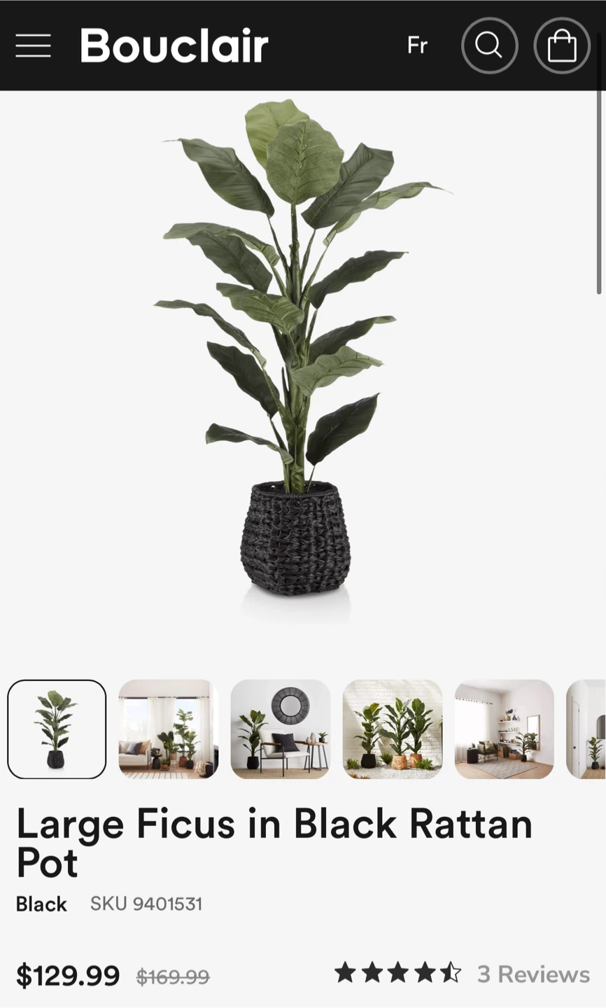Bouclair Artificial Large Ficus in Black Rattan Pot - photo 2
