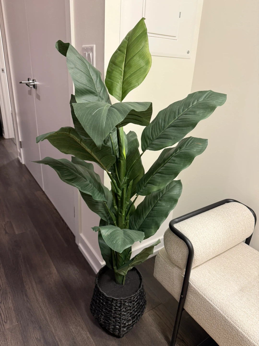Bouclair Artificial Large Ficus in Black Rattan Pot