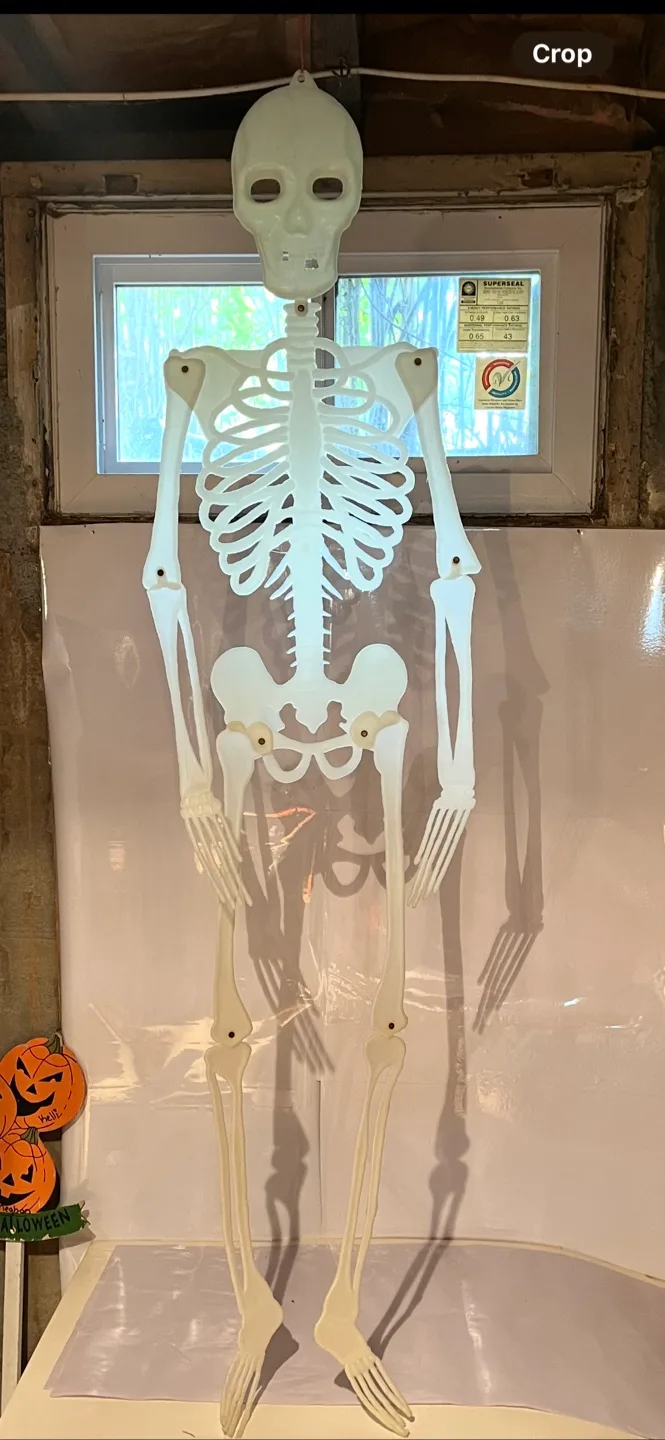 Skeleton Halloween Decoration image indicator(2)