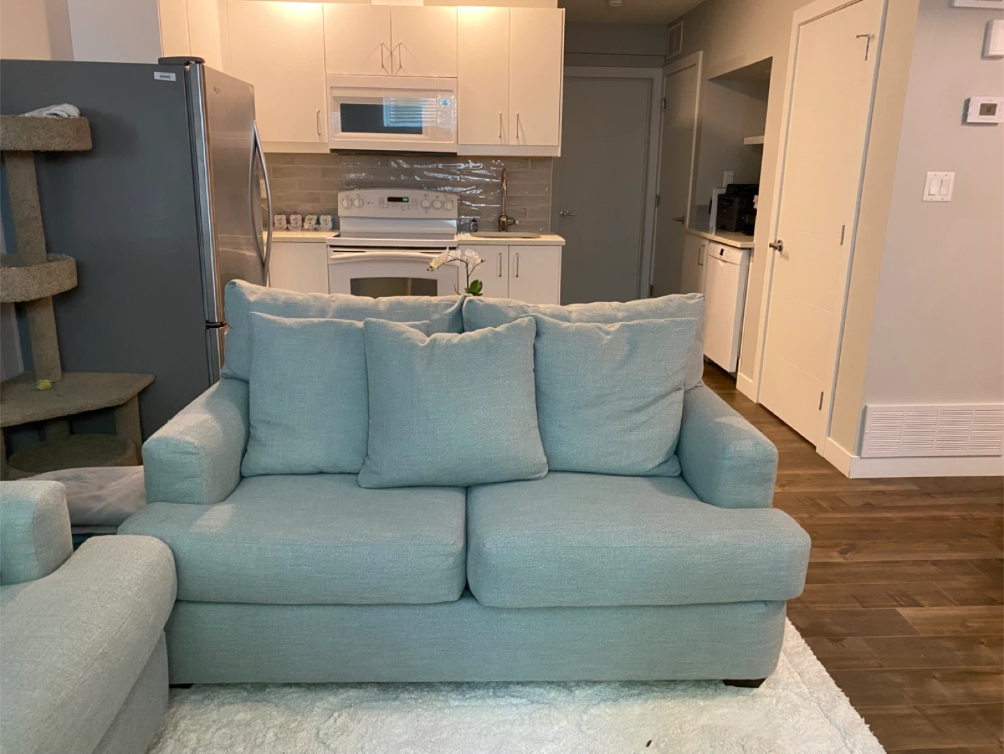 Light Green Sofa Set