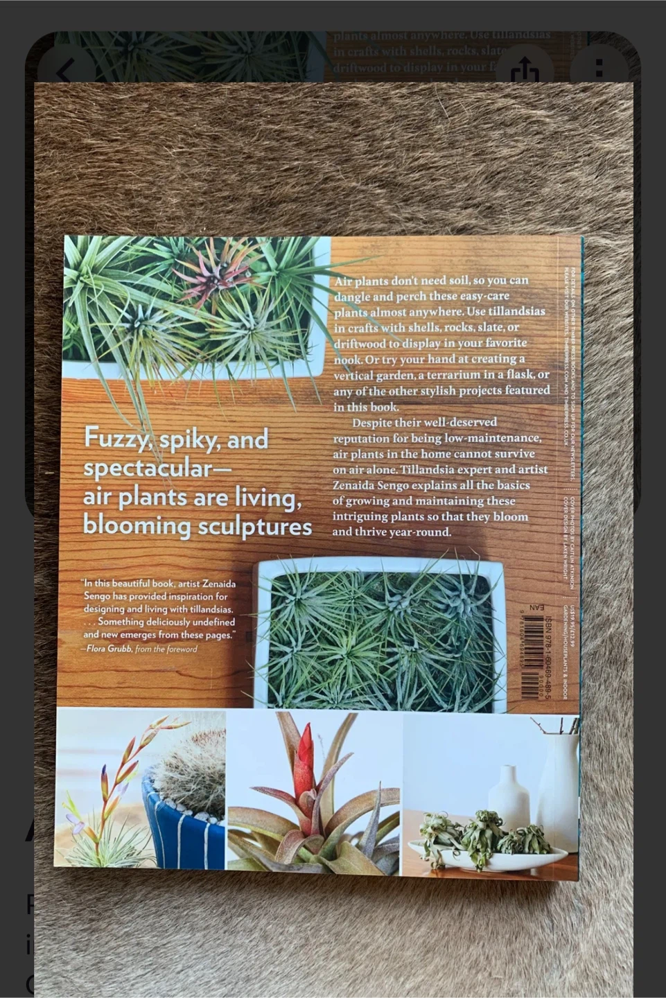 Air Plants: Curious World of Tillandsias by Zenaida Sengo - photo 2