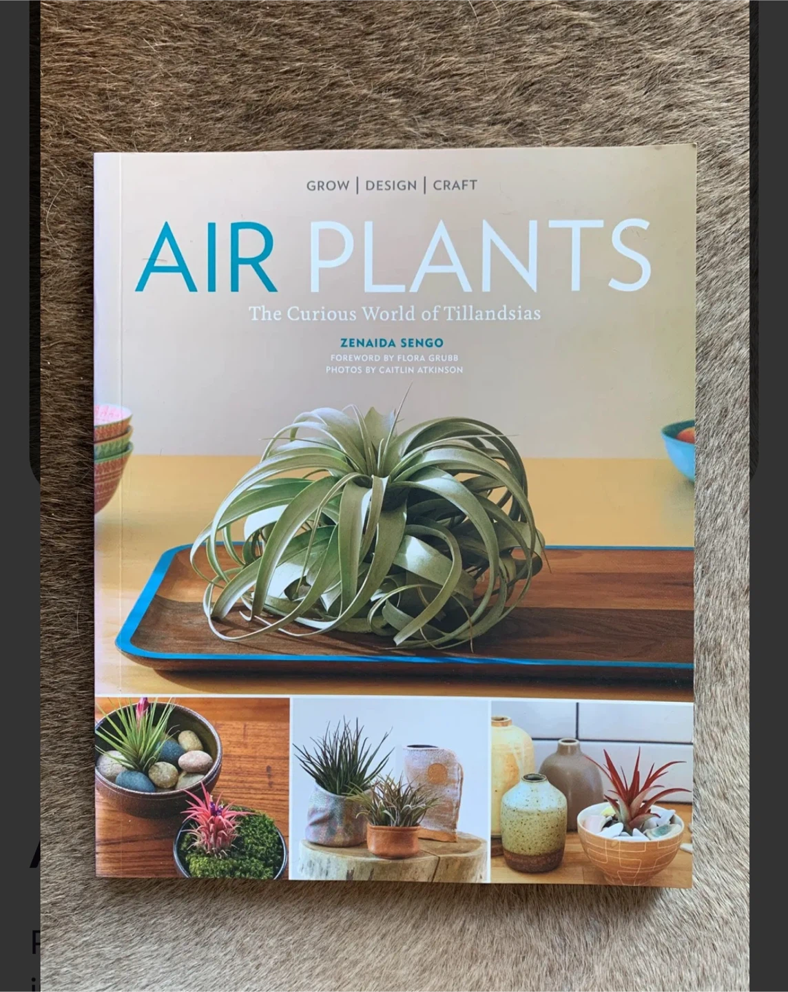 Air Plants: Curious World of Tillandsias by Zenaida Sengo