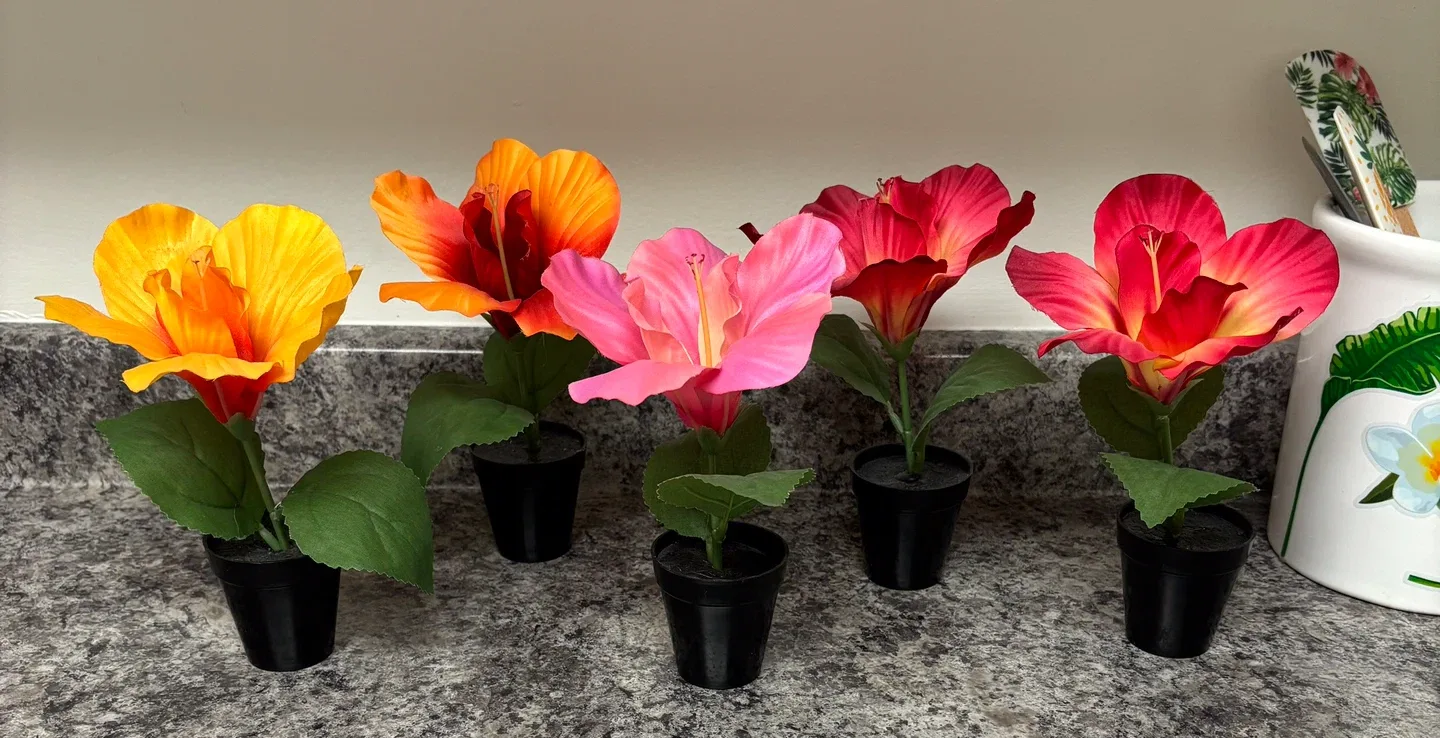 Artificial Hibiscus Flowers - Set of 5 thumbnail