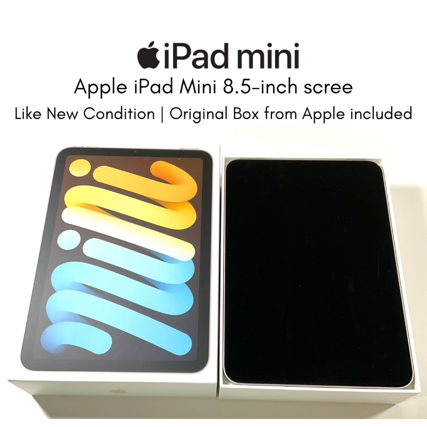 Apple iPad Mini 256 GB at great price